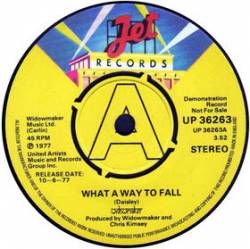 Widowmaker (UK) : What a Way to Fall - Mean What You Say